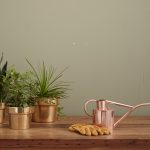 Regador vintage e vasos com plantas em bronze