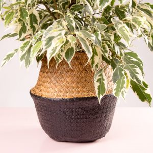 Cesto decorativo natural para plantas preto