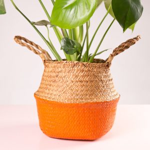 cesto decorativo para plantas