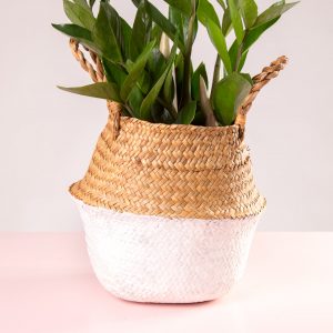 Cesto decorativo natural para plantas branco