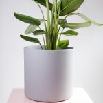 Vaso decorativo para plantas Maceo sand XXXL cinza estrelicia