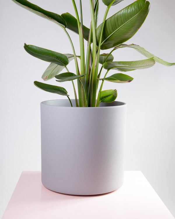Vaso decorativo para plantas Maceo sand XXXL cinza estrelicia