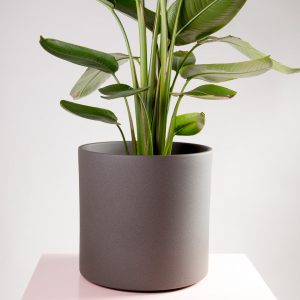 Vaso decorativo para plantas Maceo sand XXL antracite