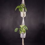 Macramé duplo para vasos suspensos com planta monstera adansonii