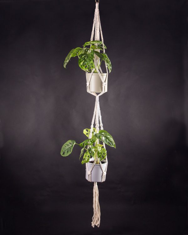 Macramé duplo para vasos suspensos com planta monstera adansonii