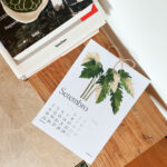 Calendario plantas interior 2023