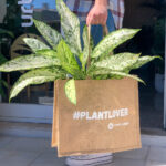 saco de juta plant lover urban jungle loja