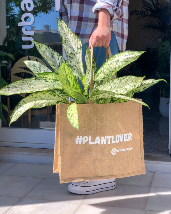 saco de juta plant lover urban jungle