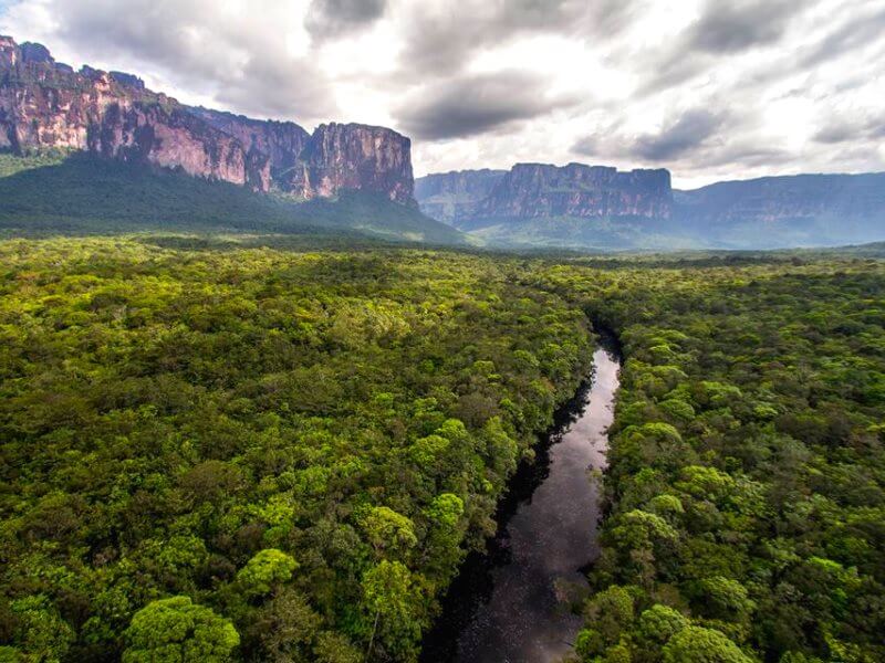 Floresta tropical na Venezuela