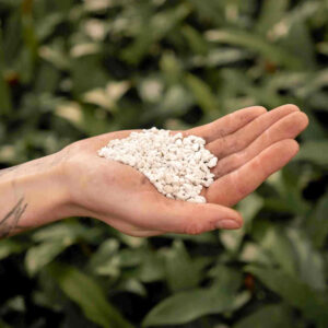 Perlite para plantas